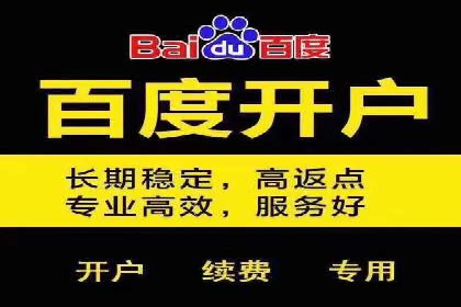 案例分享：百度竞价广告投放策略与效果